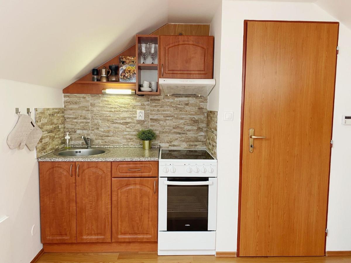 Apartment Karlovice *